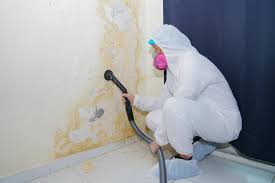 Best Industrial Mold Remediation  in Exandria, AL